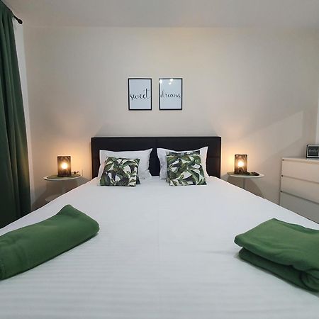 Green Apartment Coresi Braşov Extérieur photo