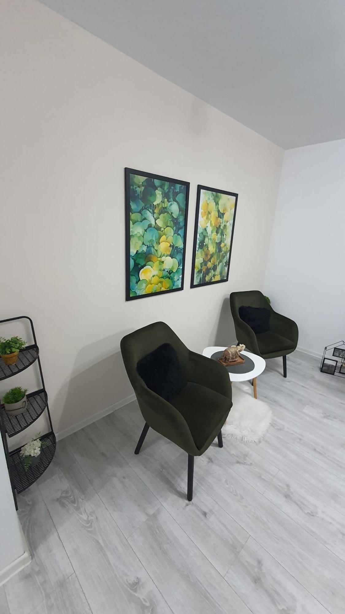Green Apartment Coresi Braşov Extérieur photo